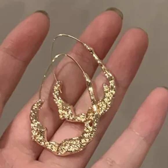 Elegant Geometric Alloy Hoop Earrings - Picture 2 of 4